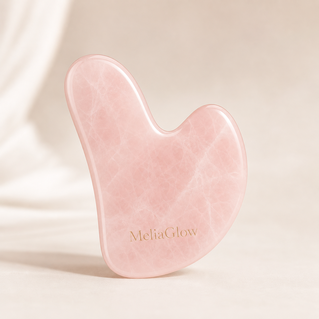 Gua sha Visage